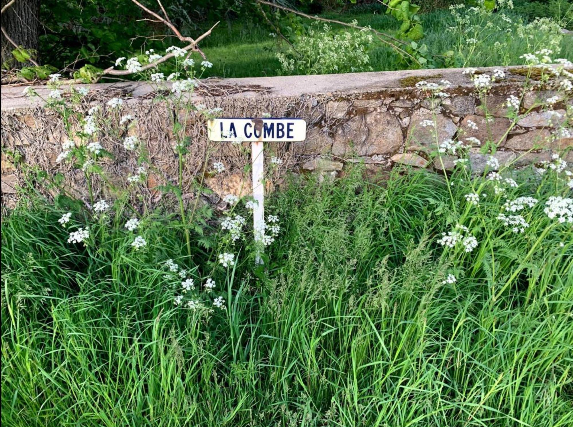 Chateau De La Combe La Celle (Auvergne)